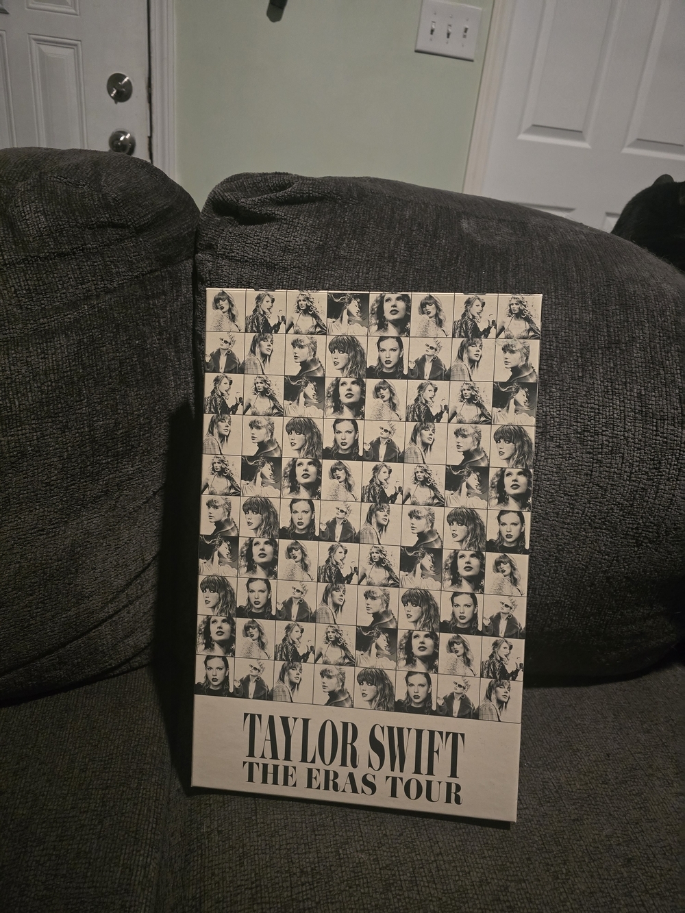 Taylor Swift | The Eras Tour VIP Box - Box Only